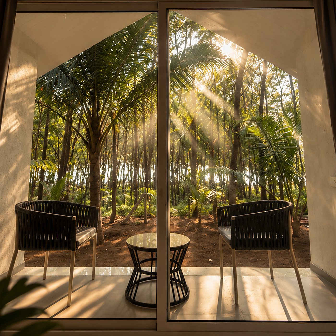 Morning light through the coconut palms at GAIA, Shirgaon